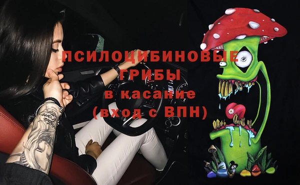 гидра Алексин