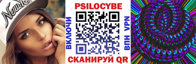 Псилоцибиновые грибы Psilocybe  даркнет сайт  Николаевск 
